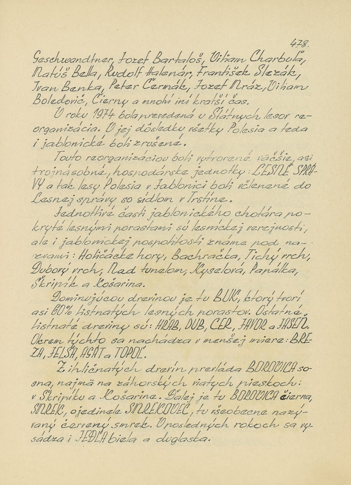Page Background
