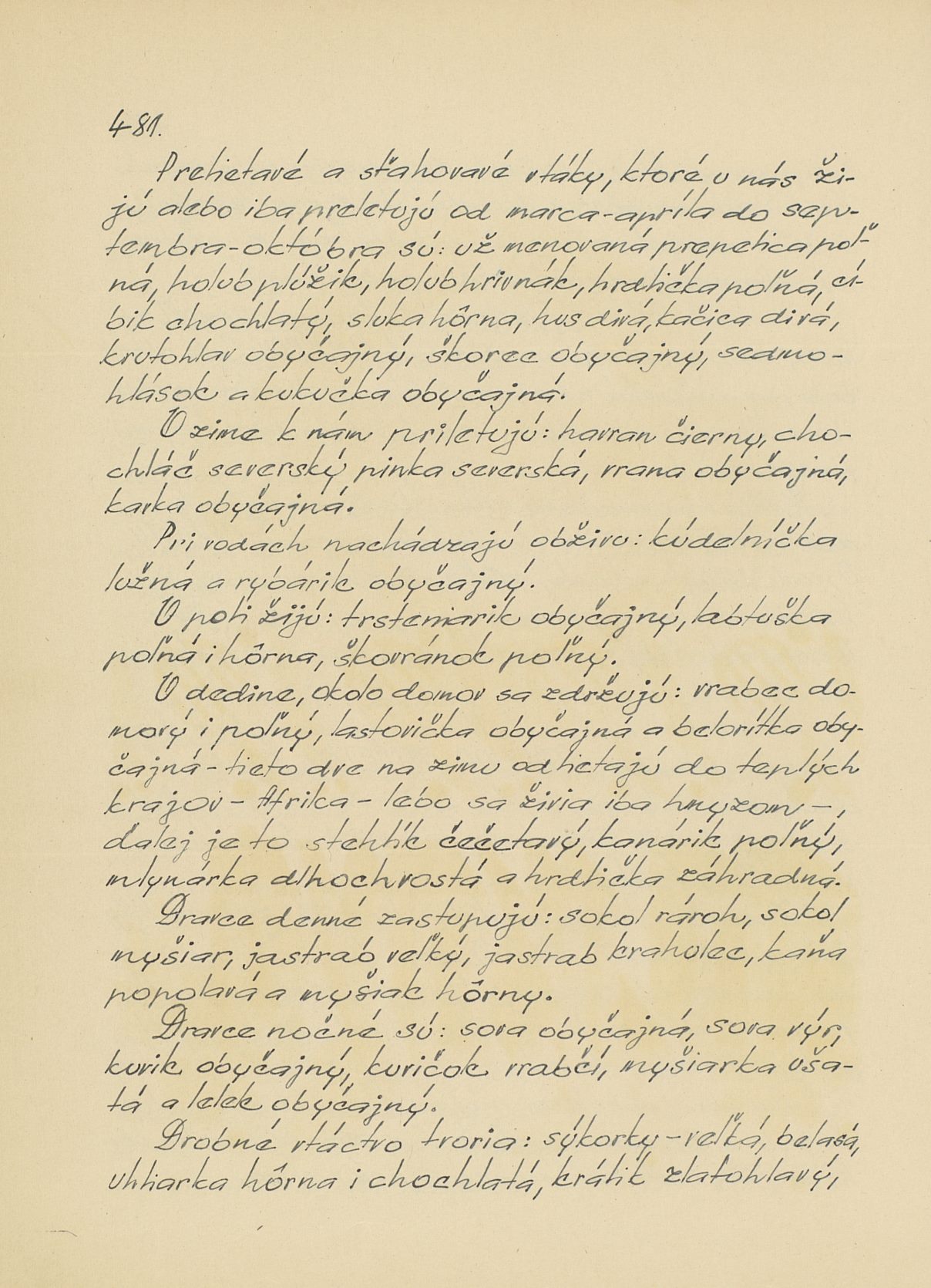 Page Background